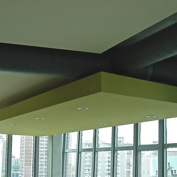 Contemporary Chicago Condominium