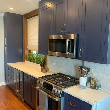 Condo Remodel - Lakeview West, Chicago, IL