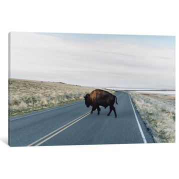 "Buffalo Bison" by Chelsea Victoria, Canvas Print, 12"x8"