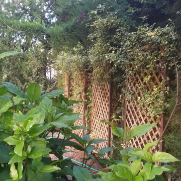 JARDÍN EN PALOMARES
