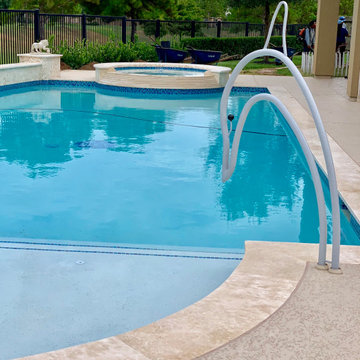 Dolphin Pool Handrail