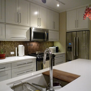 Lincoln Park Residence