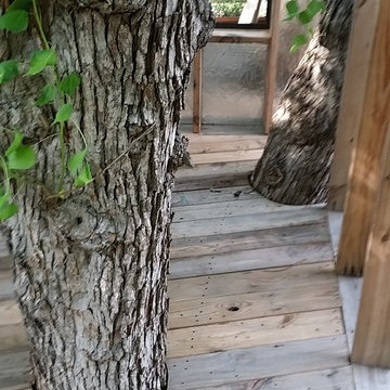 Real Tree House - Real House on a tree