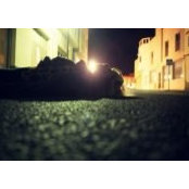 Gillian Lawtie's photo