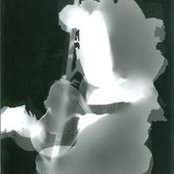 Antonella Bracci's photo