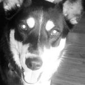 Stacey Metz's photo