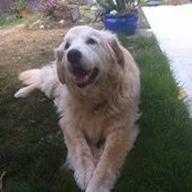 Carmen Kimm's photo