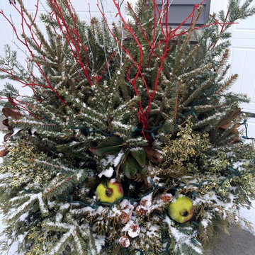 Winter Containers