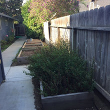 Hausman Vegetable Garden
