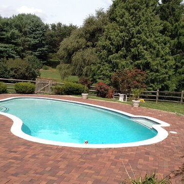 Safety Pool Cover, Hockessin, Delaware (Brand: Loop-Loc, Mesh; Color: Green)