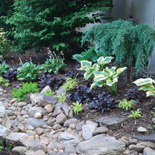 dry creek bed