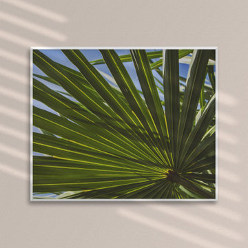 Colorized Wide Palm Leaves Tropical Botanical Nature Wall Art Print
