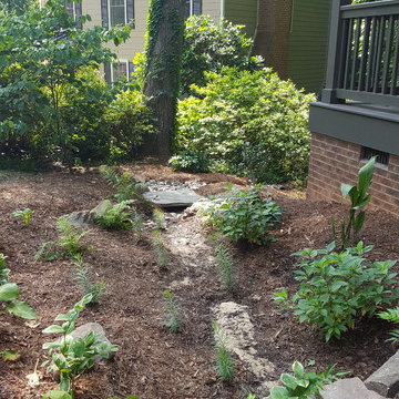 Hofelt Front Drainage and Rain Gardens
