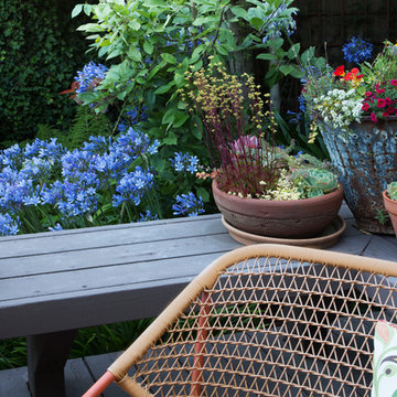My Houzz: Colorful Garden Oasis in Marin County