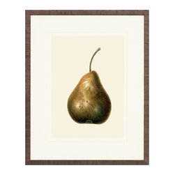 Pear Art Prints - Fine Art Prints