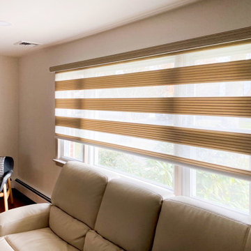 Springblinds Zebra Premium Pleated Light Filtering Shades House Project