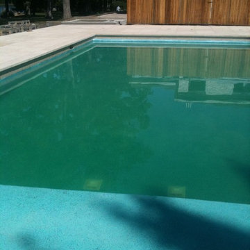 Long Grove, IL Swimming Pool Renovation