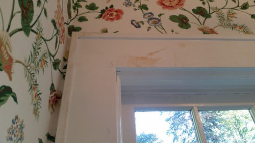 wallpaper paste from painted wood trim