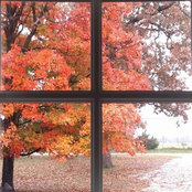 Angie Miller's photo