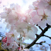 Foto von Pam Scaringe