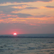 Sherri Flynn's photo