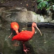 Raquel Fox's photo