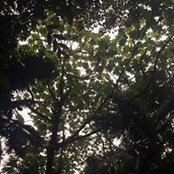 Trishya Varma's photo