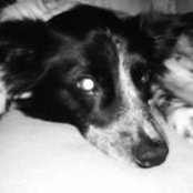 Jessica Brokaw Manz's photo