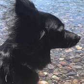 Laura Martin's photo