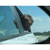 Heather Witbeck's photo
