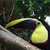 Linda Cohen's photo