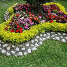 11306 Cypress Reserve Dr. Landscape Design Ideaboard