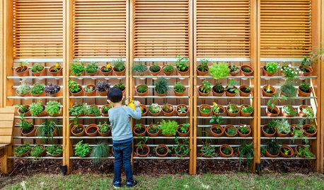 A Beginner's Guide to Urban Terrace Farming