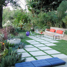 judi_scott’s yard ideas