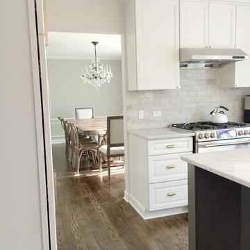 Chicago North Shore Remodel