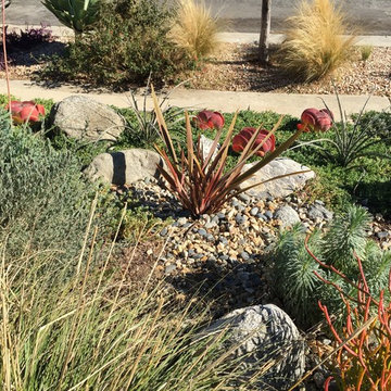 Craftsman and a Meadow with low water plants