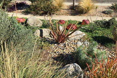 This is an example of a mid-sized craftsman drought-tolerant and full sun front yard gravel landscaping in Los Angeles.