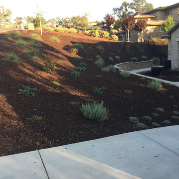 El Dorado Hills - Serrano Complete Landscape