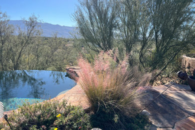 Inspiration for a pool remodel in Phoenix