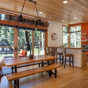 Tahoe Cabin