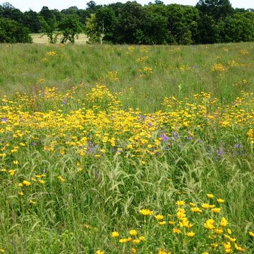 Prairie Projects