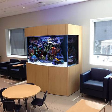 Our Work
