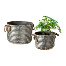 Indoor Gardens