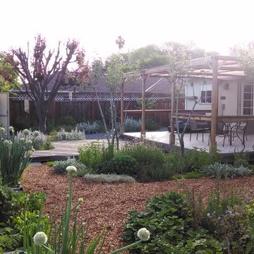 Shoestring eco-paradise and plant experimentation station