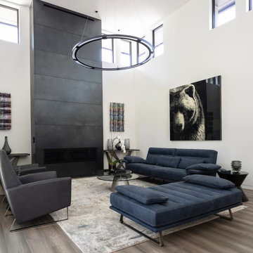 Frank's Future Living Space