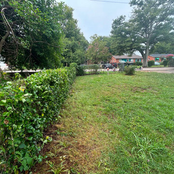 Complete Landscape & Hardscape Enhancement