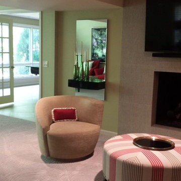 Lower Level Remodel