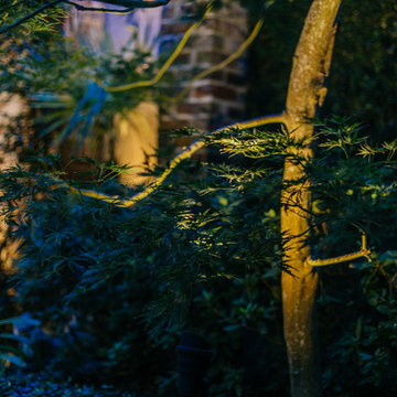 Tradd Street Garden