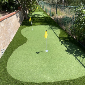 Artificial Turf and Concrete Walkway