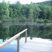 sharon friedman's photo